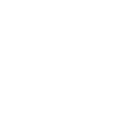 Votic Group